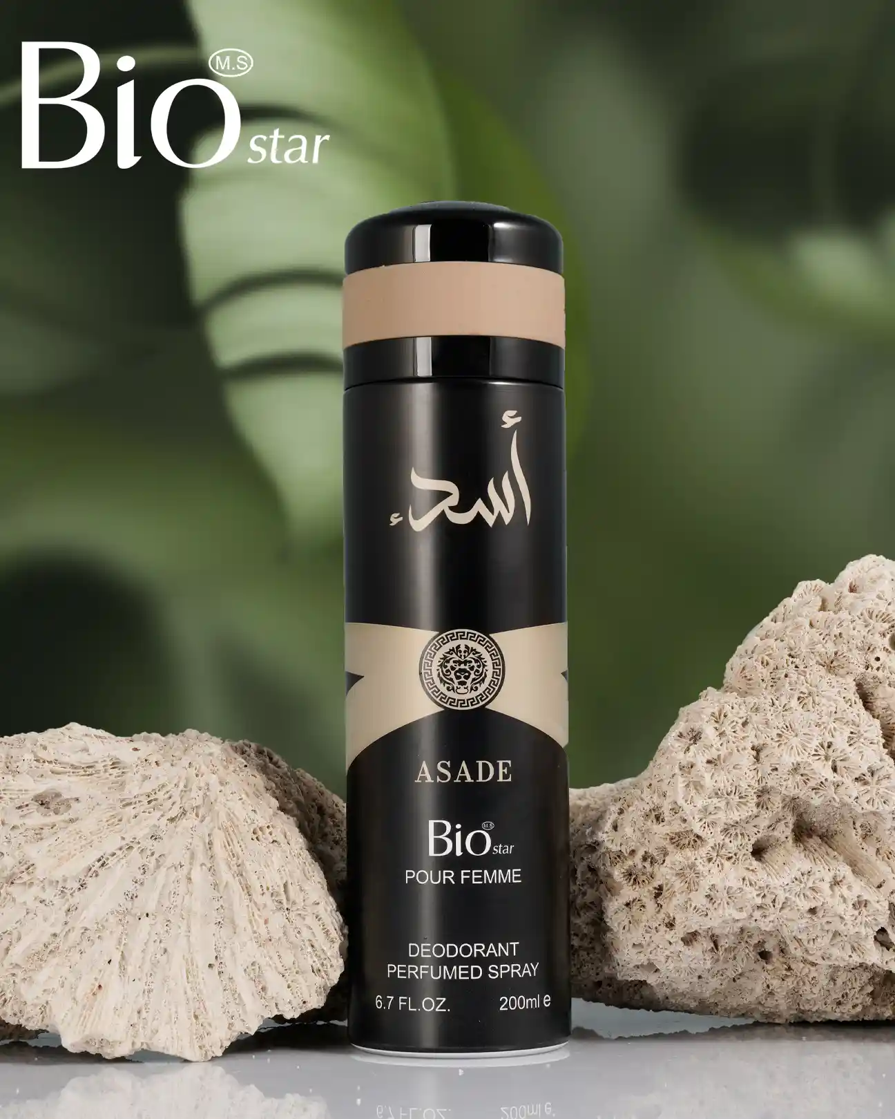 Bio Star Asade